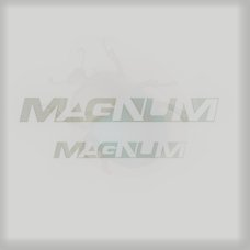 AUTOCOLLANTS 'MAGNUM' 2PC