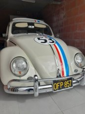 Herbie for rent